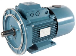 **มอเตอร์เอบีบี Abb Motor 25 แรงม้า 2 โพล แบบหน้าแปลน รุ่น M2QA 160LA2 IMB5